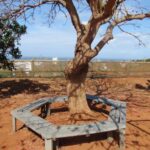 recycled plastic furniture